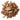 Cedarwood, Atlas Essential Oil - Organic