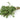 Thyme, Sweet Essential Oil