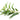 Eucalyptus Radiata Essential Oil - Organic