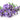 Aroma Disk w/ Organic Relax 5ml Blend