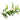 Eucalyptus Citriodora Essential Oil
