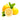 Lemon Essential Oil - Organic