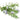 Rosemary Essential Oil - Organic