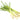 Lemongrass Essential Oil - Organic